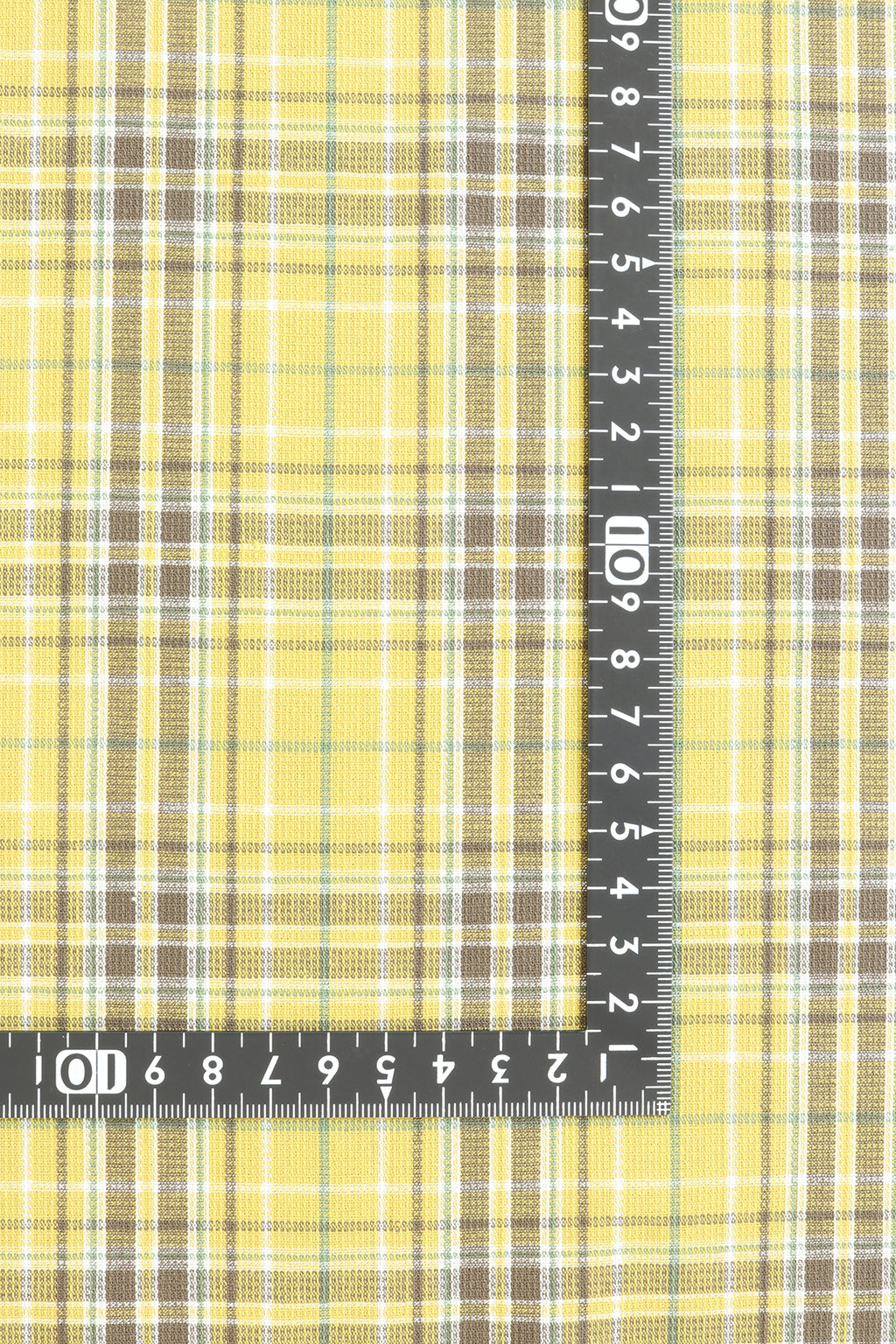 MSC75844-1 Cotton / 綿 Check / チェック