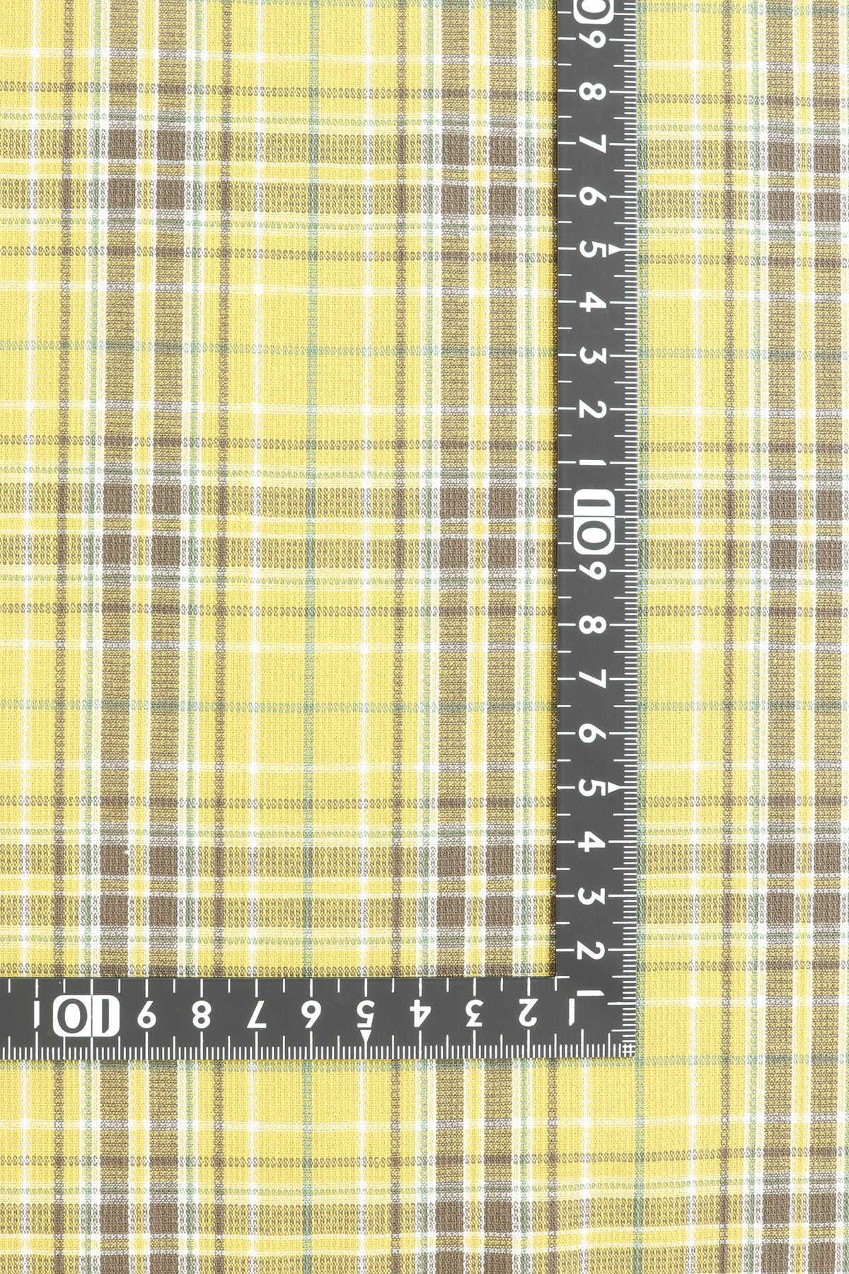 MSC75844-1 Cotton / 綿 Check / チェック