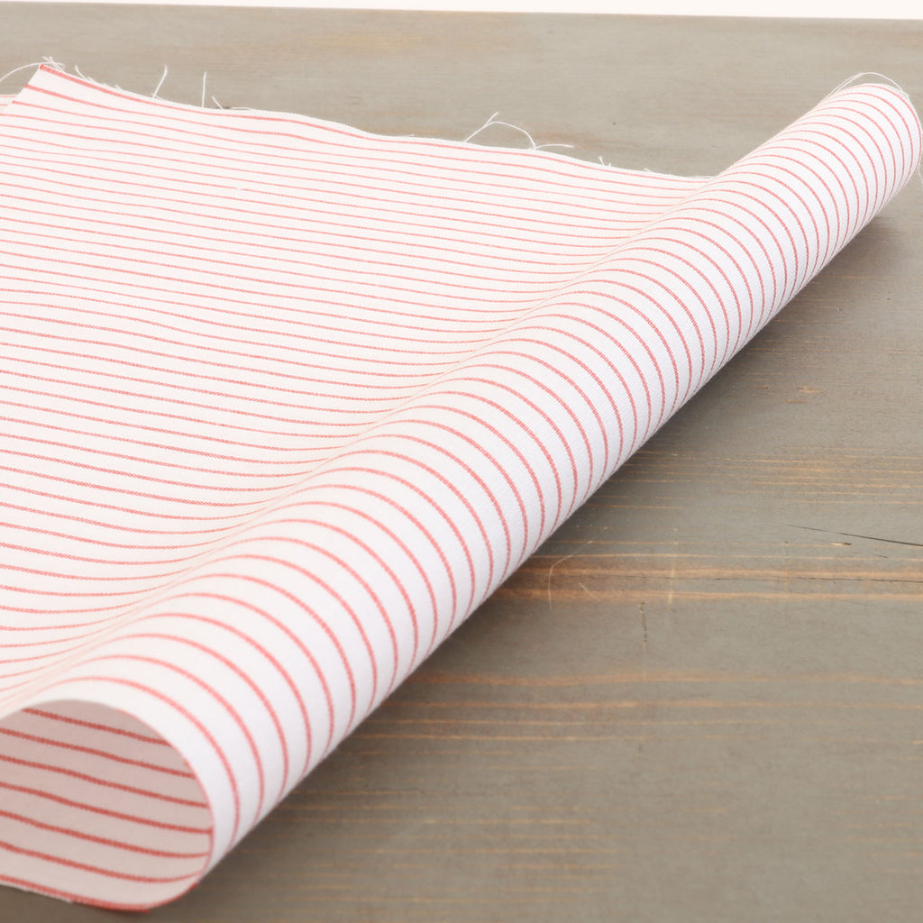 1120-24 Cotton / 綿 Stripe / ストライプ