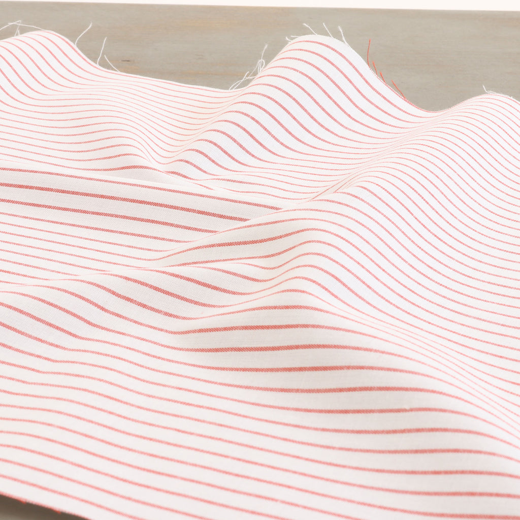 1120-24 Cotton / 綿 Stripe / ストライプ