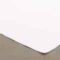 MU5077-5 Cotton / 綿 Plain / 無地
