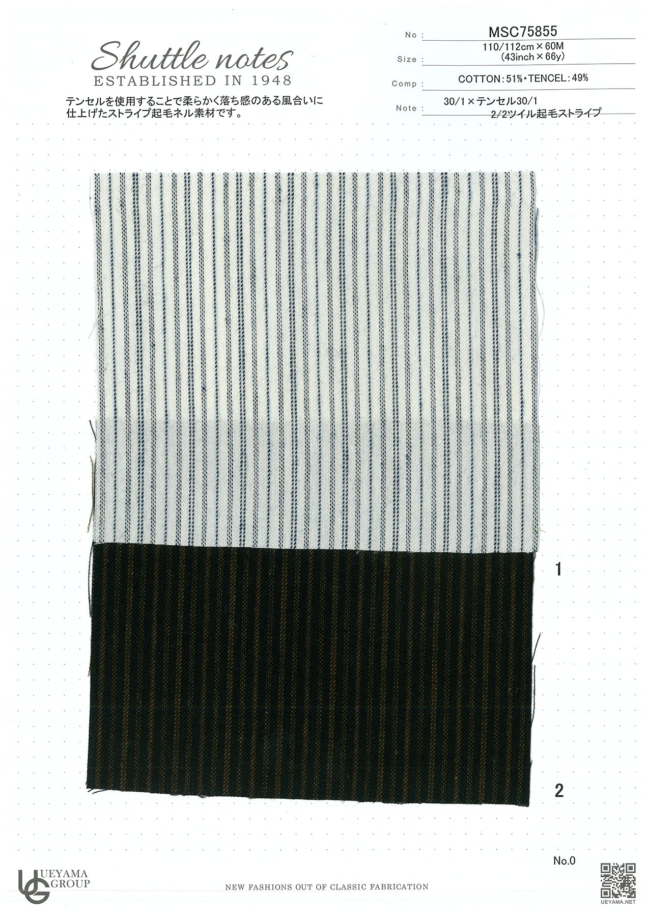 MSC75855-1 Cotton / 綿 Stripe / ストライプ