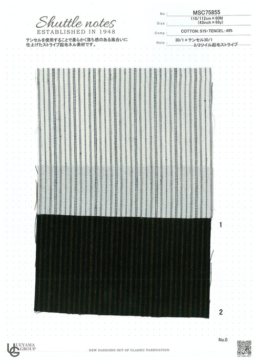 MSC75855-2 Cotton / 綿 Stripe / ストライプ