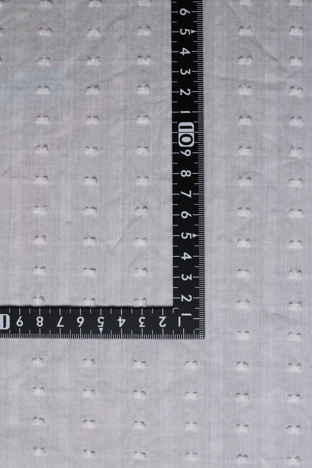 MOG0040 Cotton / 綿 Other / その他