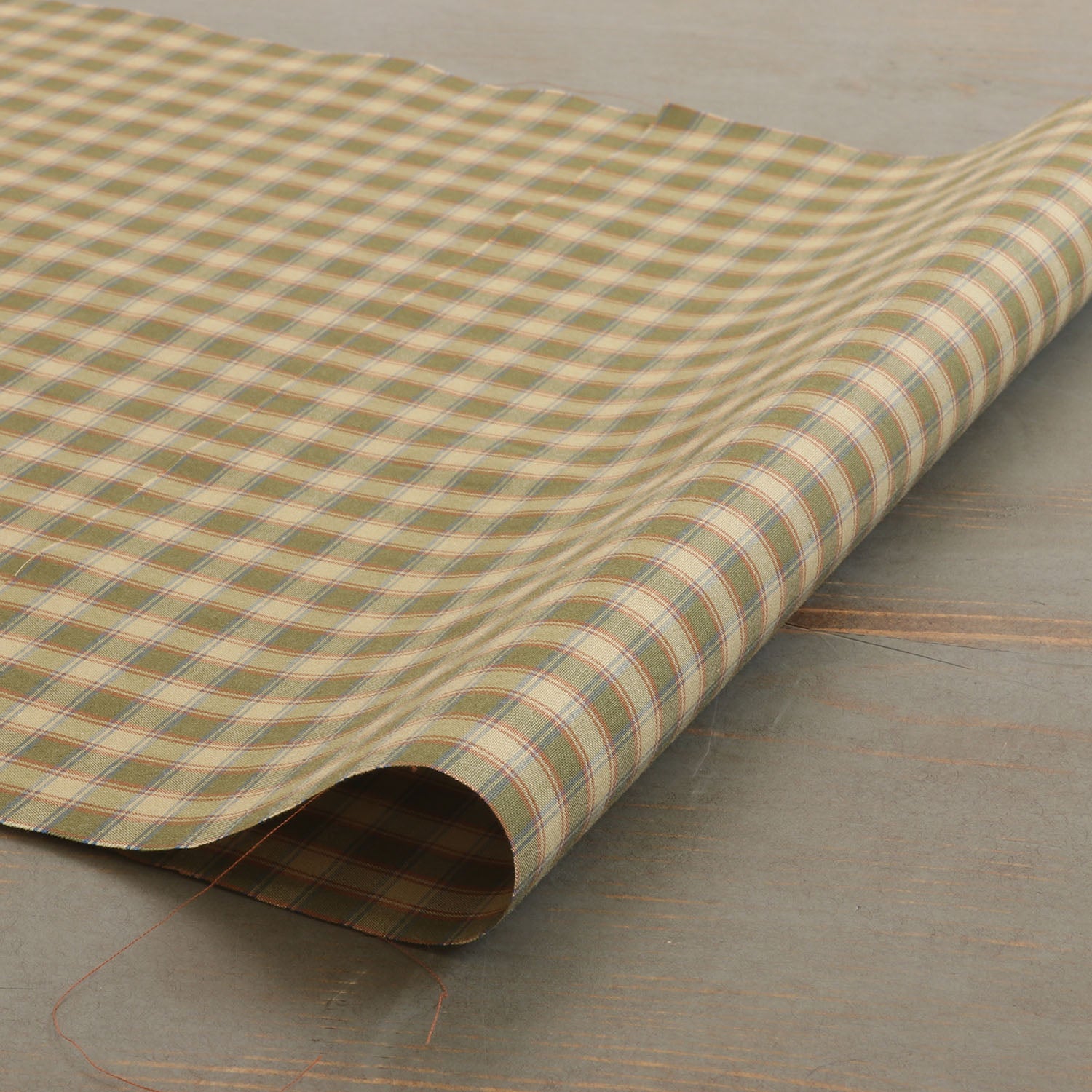 MSC75674-1 Cotton / 綿 Check / チェック