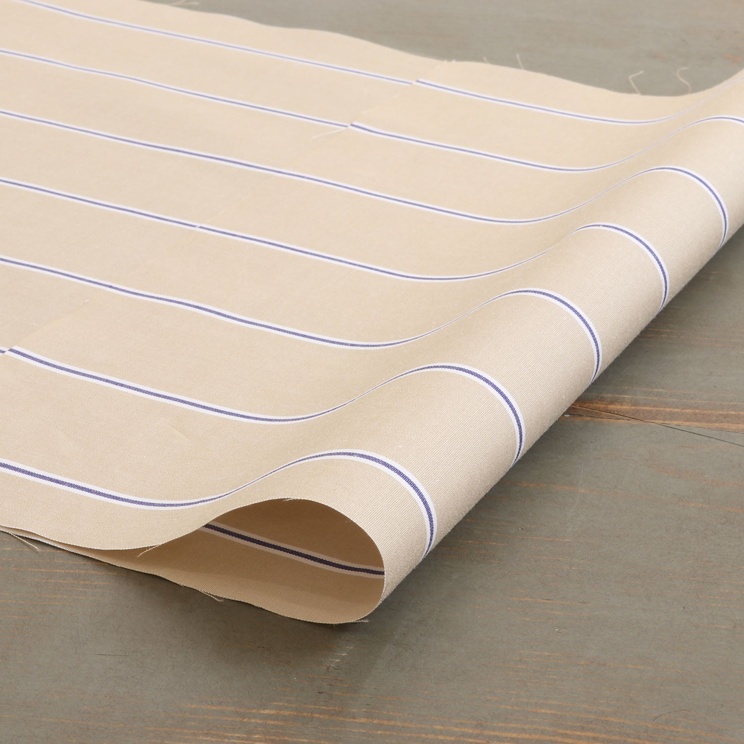 MSC75739-3 Cotton / 綿 Stripe / ストライプ
