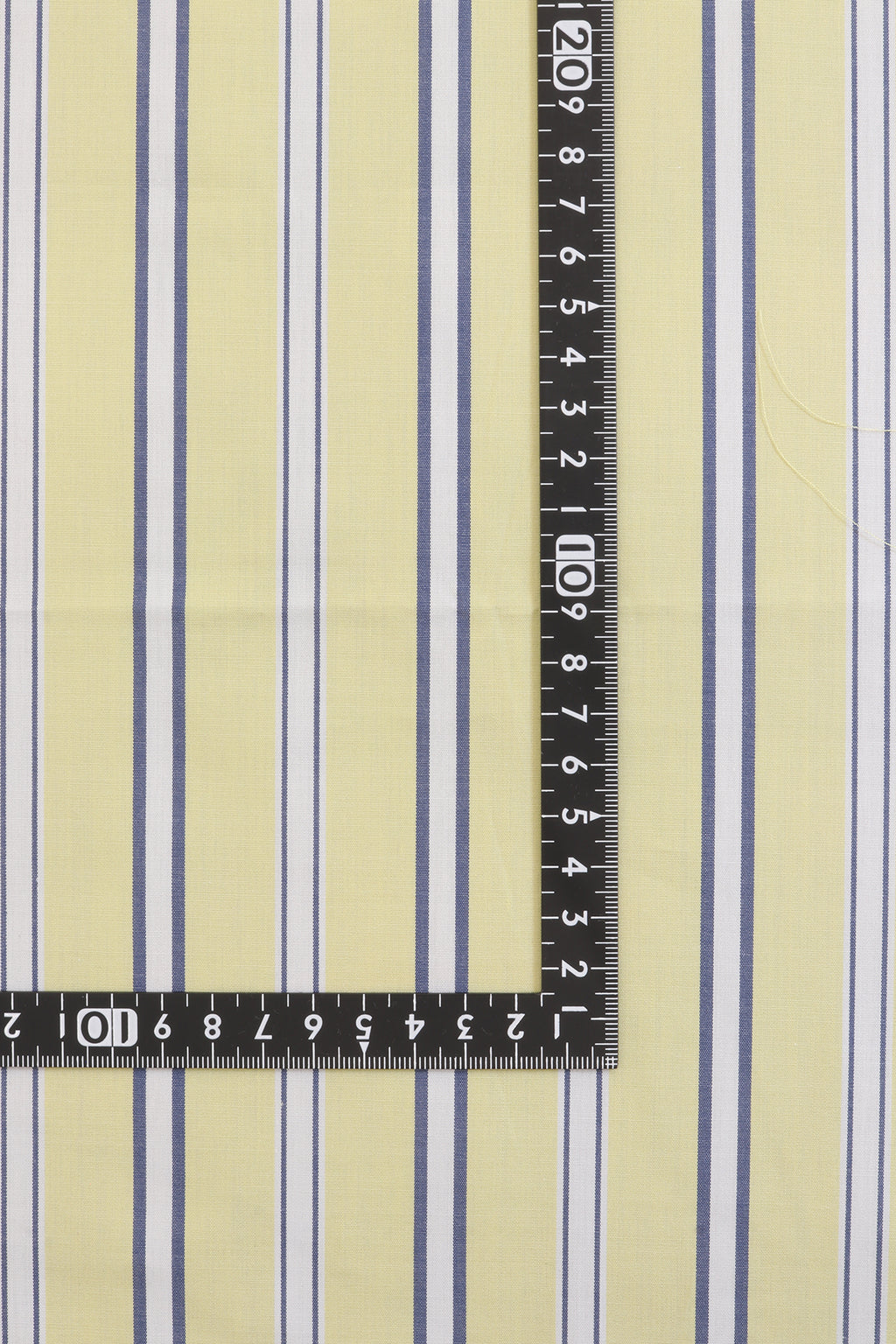 MSC75739-4 Cotton / 綿 Stripe / ストライプ